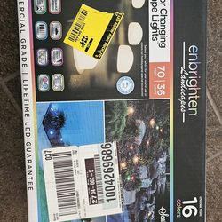 Changing Outdoor Integrated LED Landscape Path Lights with 2ft. Spacing (36-Light)