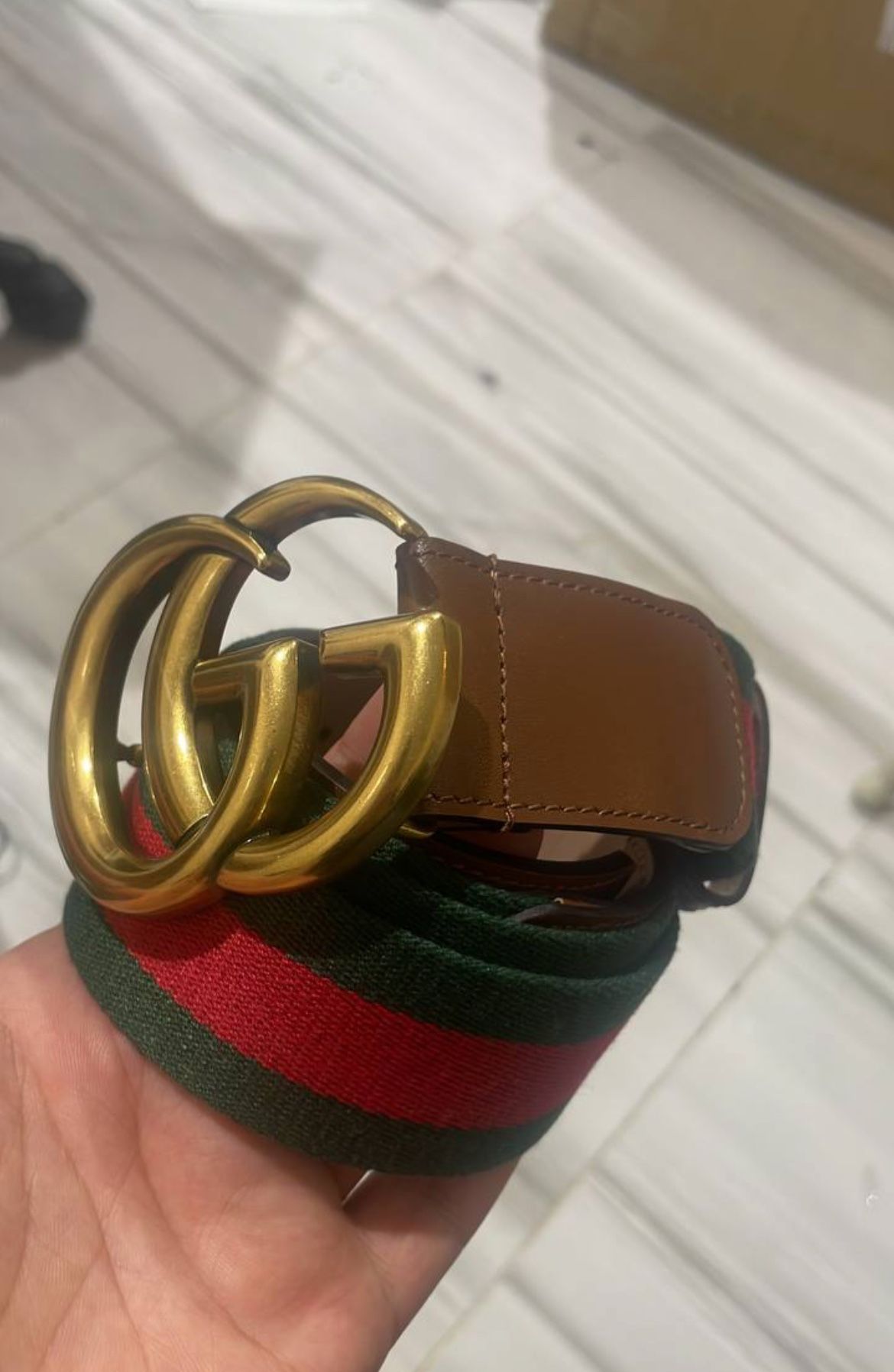 Gucci Logo Colors 