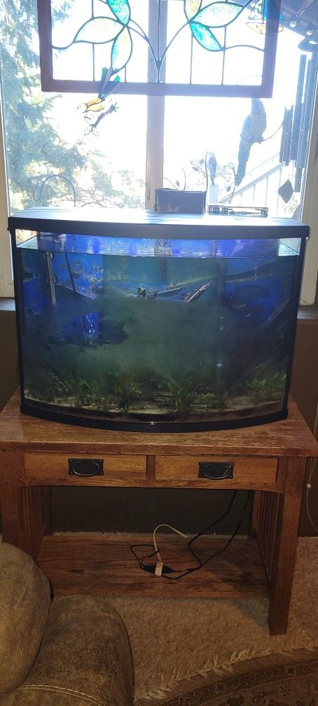 40 To 50 Gallon Fish Tank Fresh