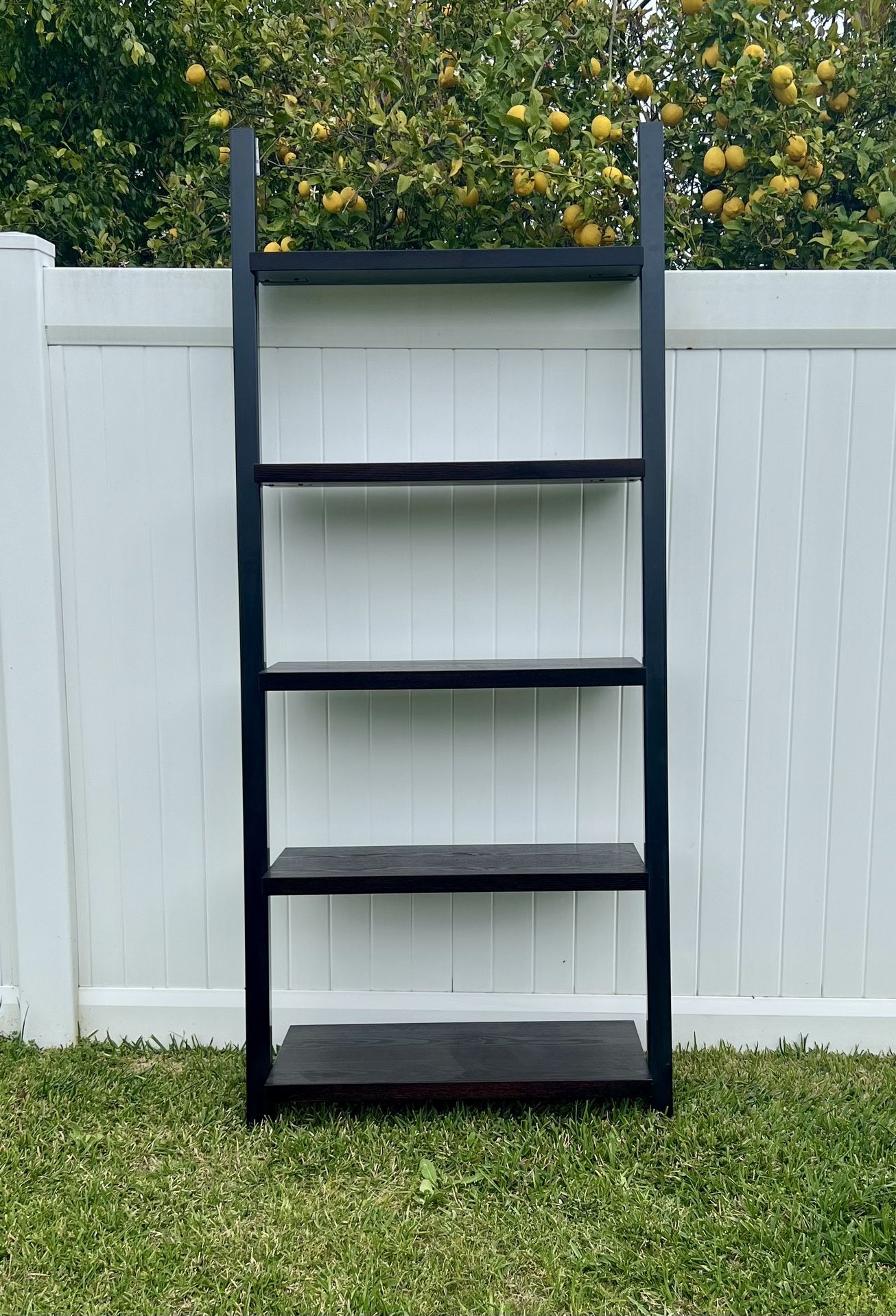 Floating shelves/ Ladder Bookcase