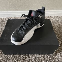 Air Jordan 12 Retro 