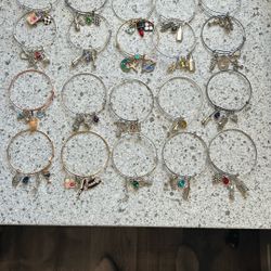 (F) All 23 Brand New Charm Bracelets