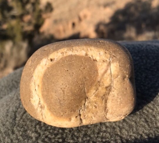 Nature Wins Paperweight