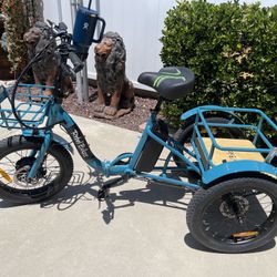 Rebel bikes E-Tricycle 