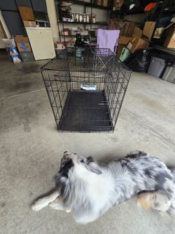 36x24x22 double door crate