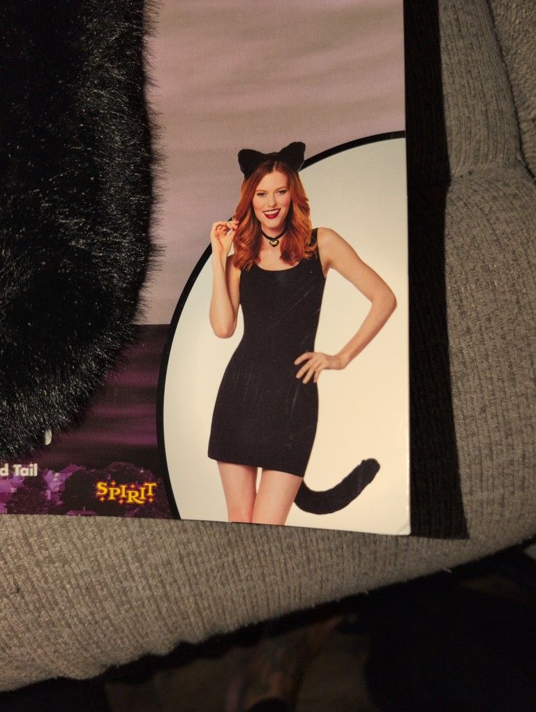 Hocus Pocus Binx Accessories