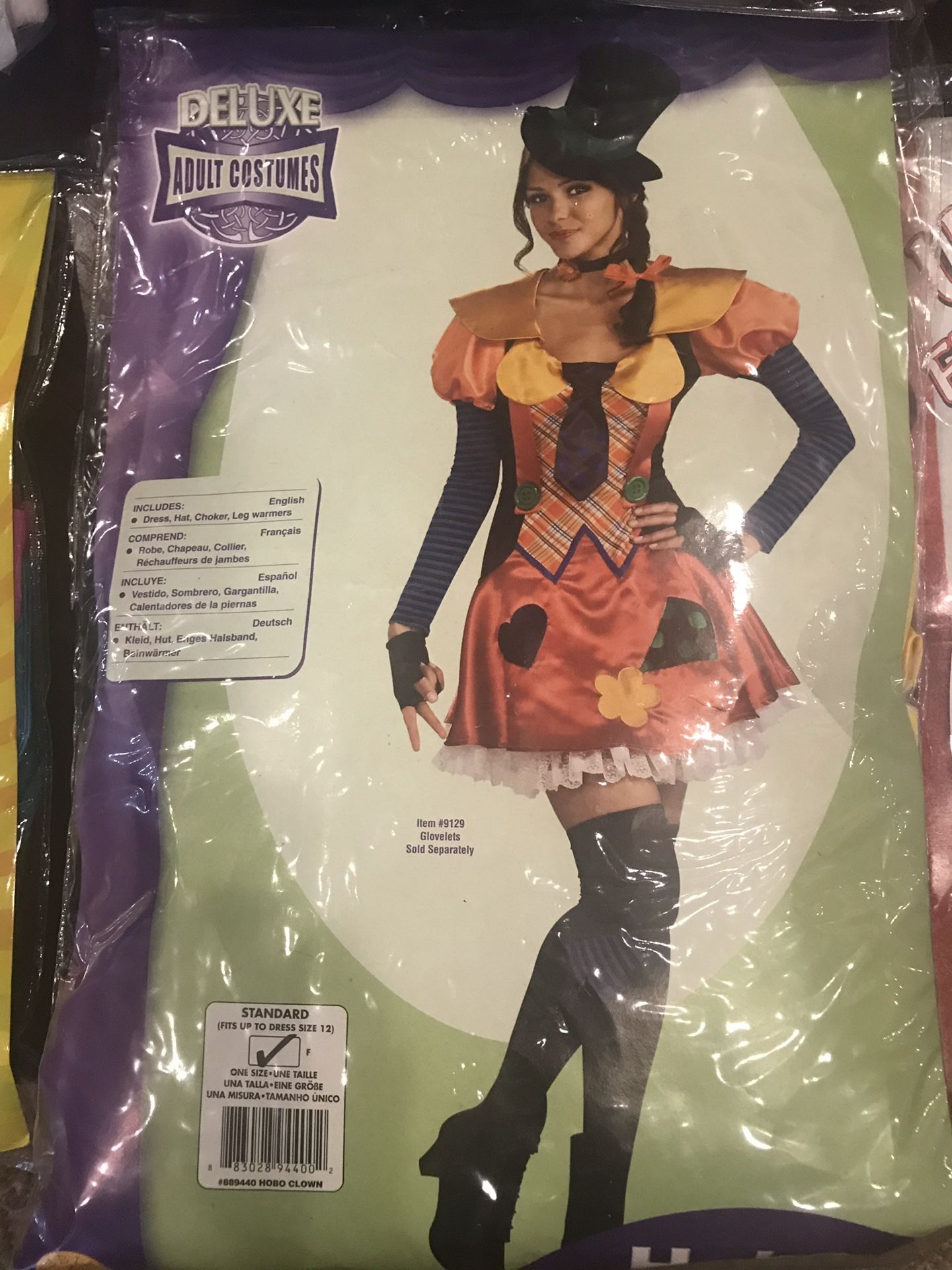 Costume (Hobo Clown)