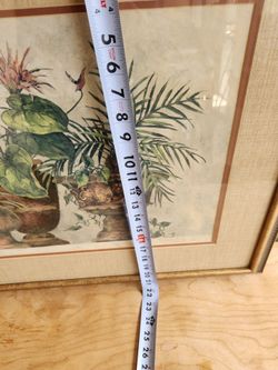 A taste of the  tropics picture  frame