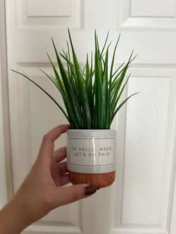 Positivity Plant