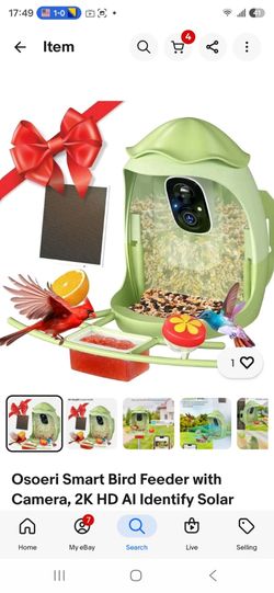 Bird solar Feeder with camera