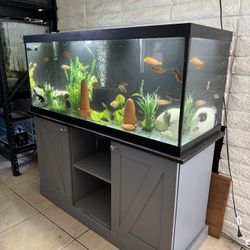 Fish Tank Aquarium 75 Gallon 