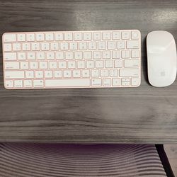 Apple Mouse and Keyboard with Touch ID