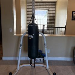 Everlast Punching Bag With Stand 