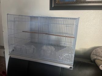Bird cage