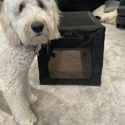 Petsfit  Soft Dog Crate For Medium Dog