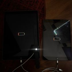 Apple Bundle