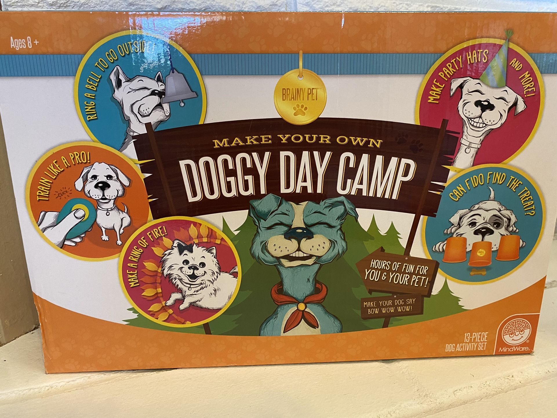 Doggy Day Camp