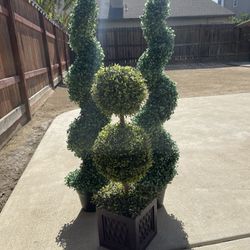 Topiary’s Trees 