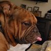 Ruben