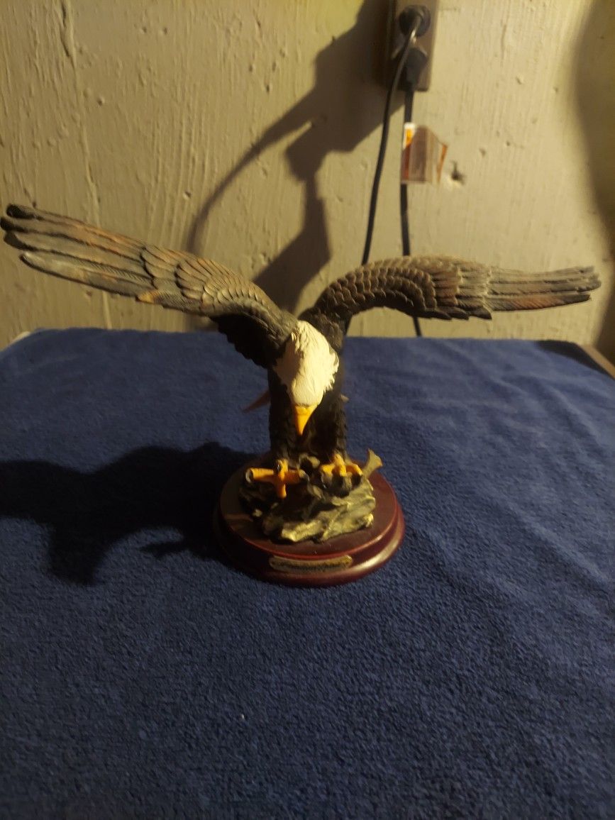 American Bald Eagle