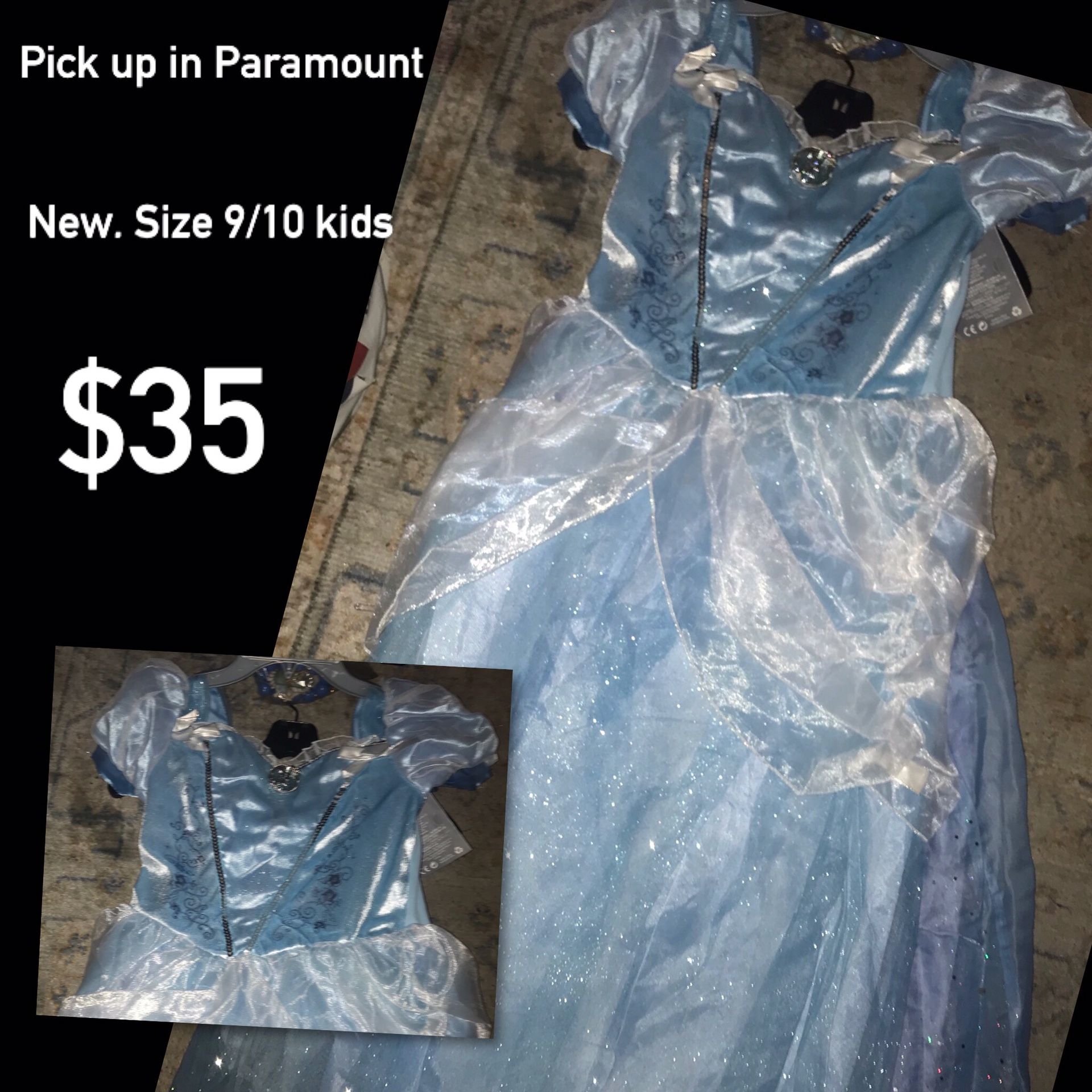 Cinderella Disney store costume