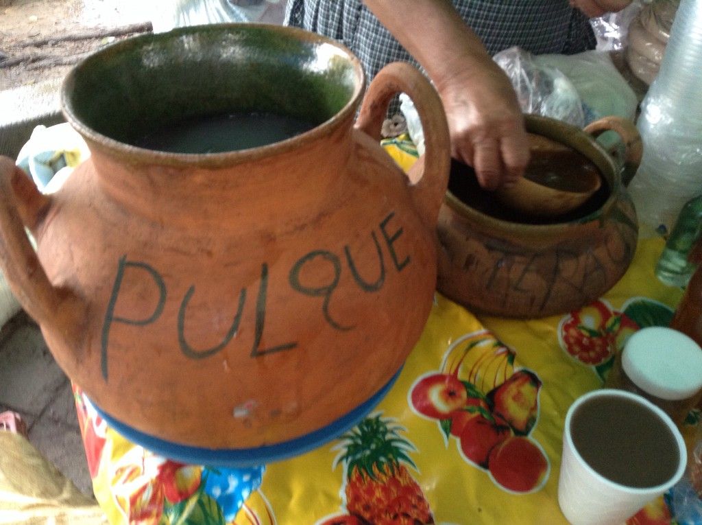 Pulquesito Agave Azul Y Agua Miel Tierna