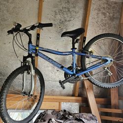 Girls MOUNTAIN BIKE 