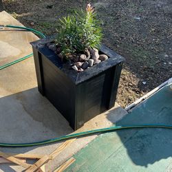 Recipiente Para Plantas
