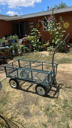 Big wagon
