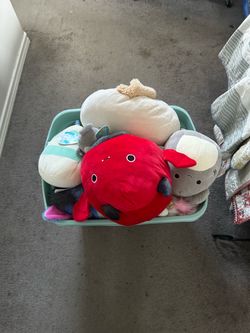 Bin of Squishmallows