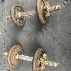 Dumbbell Pair