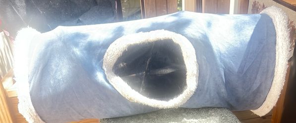 Cat tunnel