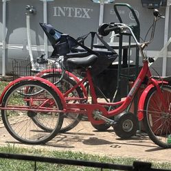 Trisiclo Para Adulto