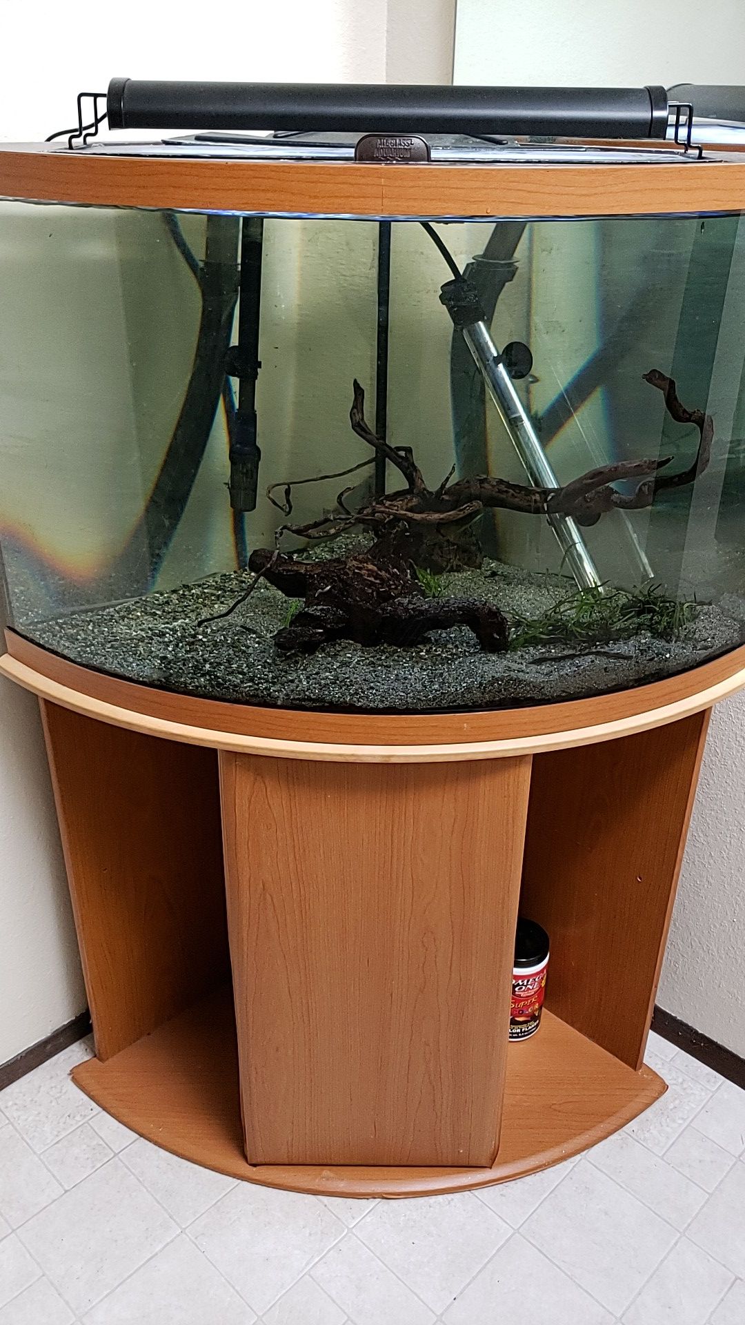 54 Gallon Glass Corner fish tank with stand.