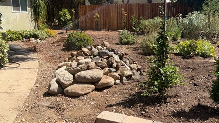 Free River Rock