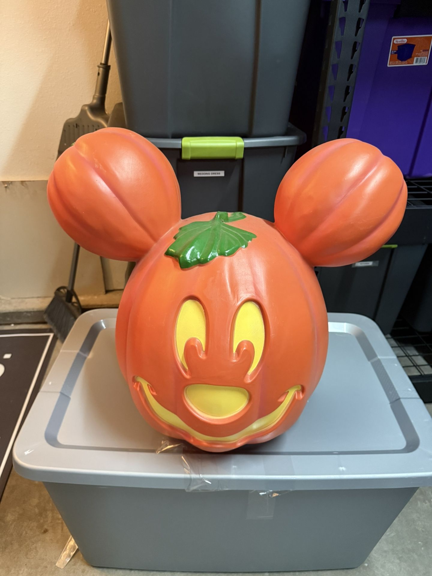 Mickey Mouse/Minnie Mouse Halloween Decorations