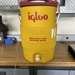 Igloo Water Cooler