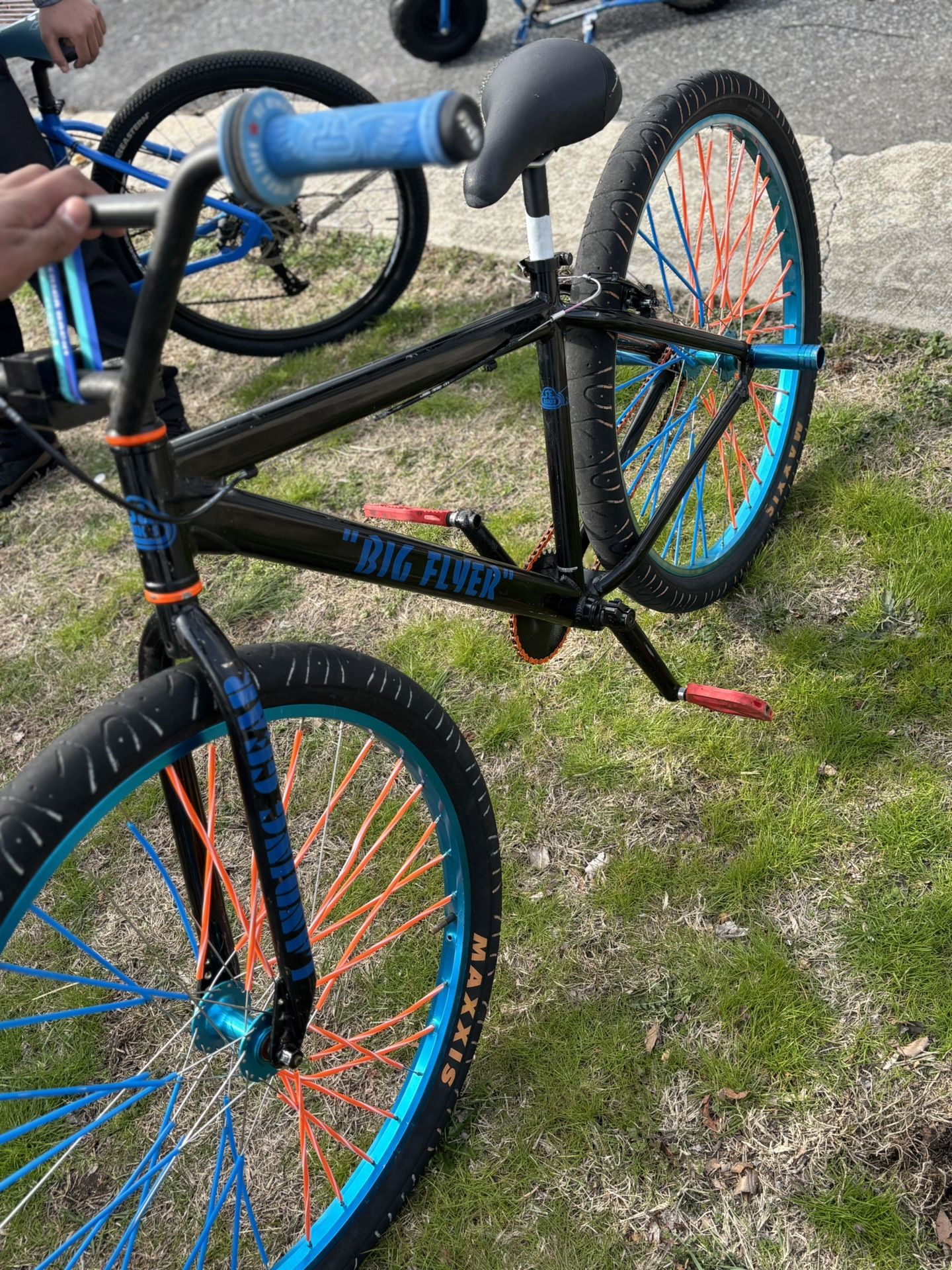 Se Bike Big Flyer 29 Inch