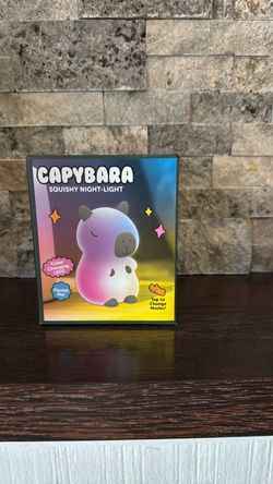 Capybara Squishy nigh light