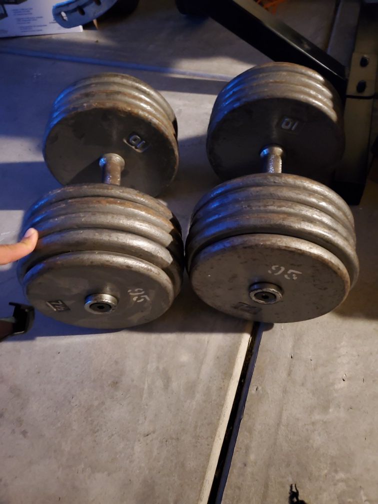 95 lbs dumbells