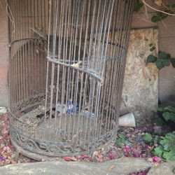 Large Bird Cage