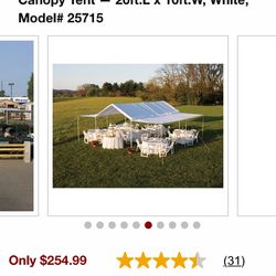 Party Tent- Local Pickup Only