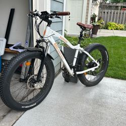 2016 Rad Power Bike - Rad Rover