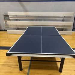 Ping Pong Table #2