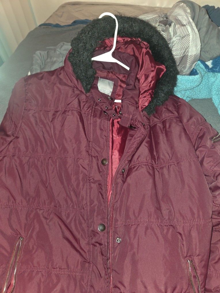 Winter Coat