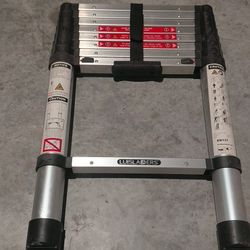 Telescopic ladder