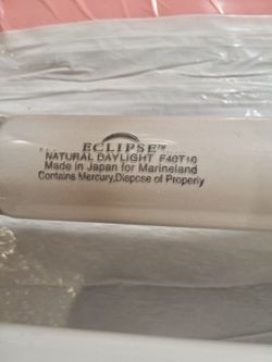 >>>$10 OBO<<< (1)Eclipse F40T10 Marine light bulb