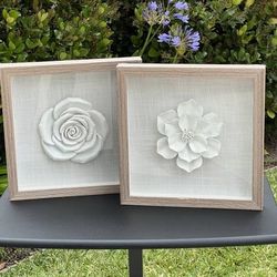 Cheap! Set of 2 Framed Wall Art Decor Shadowboxes (white flowers)