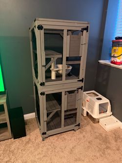 Catio