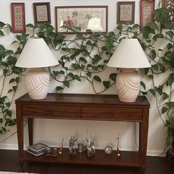 Large Pothos Plant